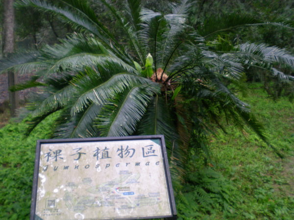福山 024.jpg