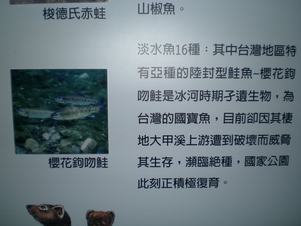 苗栗縣踩線 012.jpg