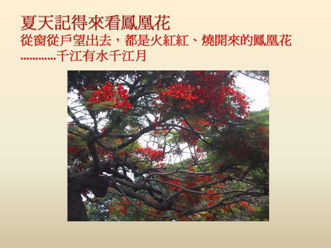 image03535.jpg