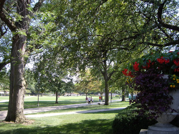IMGP4387.JPG