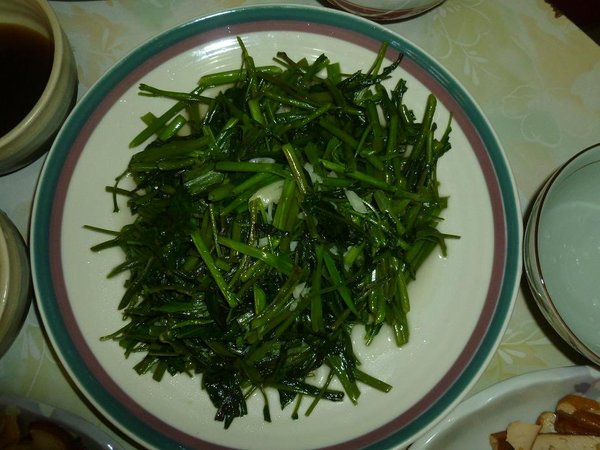 P1000984-1.JPG